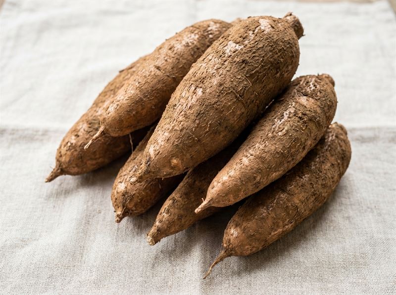 Fresh Cassava